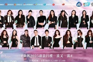 《浪姐6》VaVa撒谎拒组队 vs 叶童真诚获赞