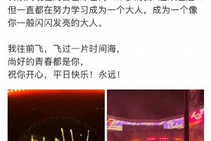 肖战低调现身孙燕姿演唱会，追星成功引热议