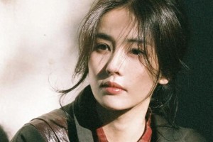 白鹿李昀锐等明星新剧动态及综艺表现全解析