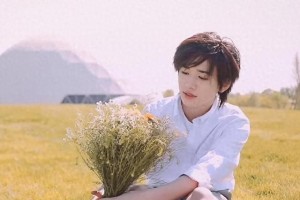 精彩图片集锦：视觉盛宴一览