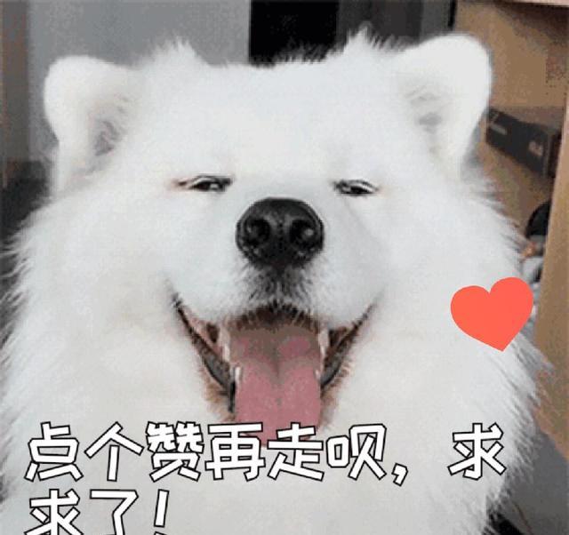 标签提取示例