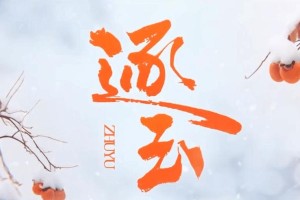 《逐玉》古装剧：张凌赫田曦薇演绎乱世真爱