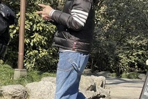 向佐奇装异服引争议：星二代20年沉寂后的复兴之路